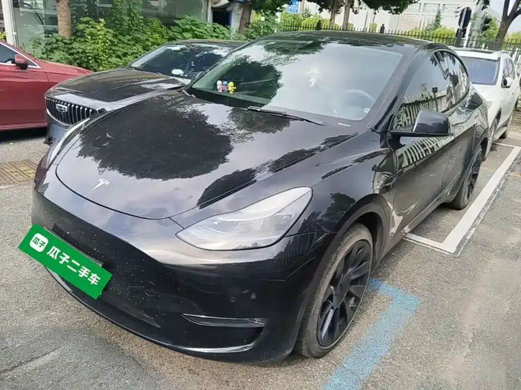 Tesla Model Y — фото 9