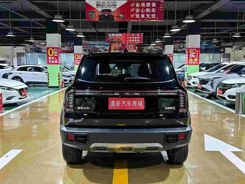 Haval Big Dog — фото 7