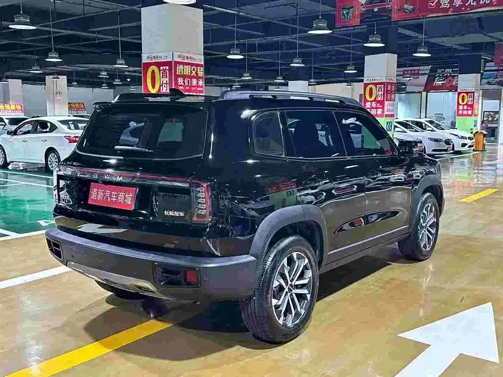 Haval Big Dog — фото 9