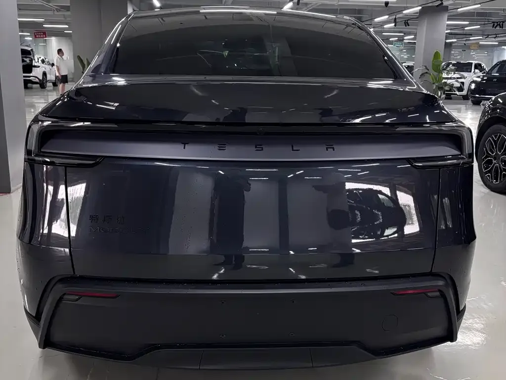 Tesla Model Y — фото 6