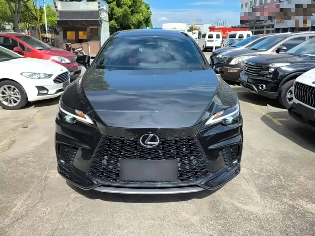 Lexus RX — фото 10