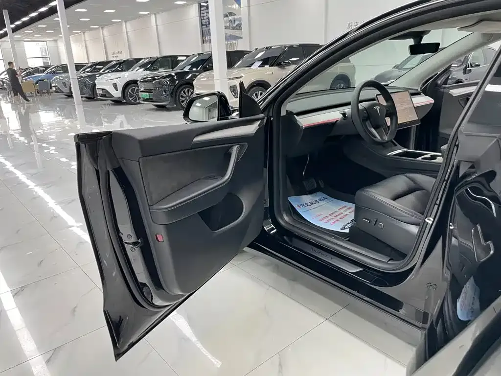 Tesla Model Y — фото 10