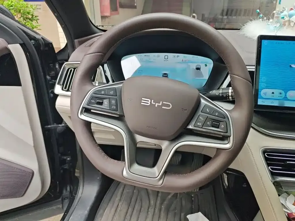 BYD PLUS New Energy — фото 8