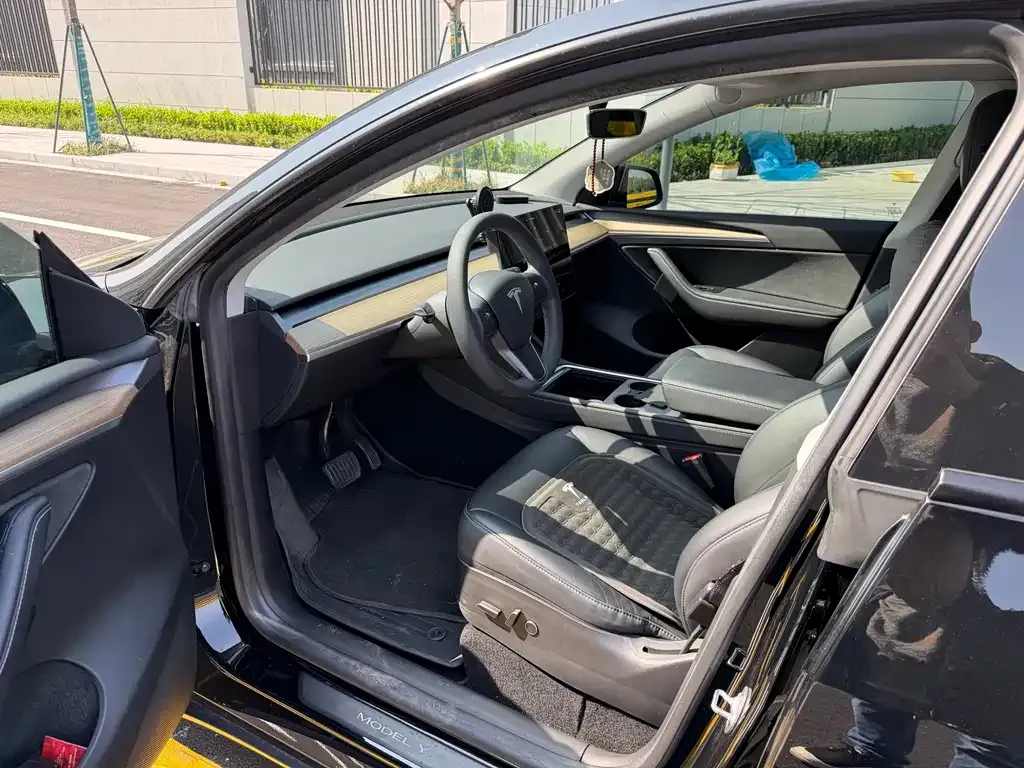 Tesla Model Y — фото 2