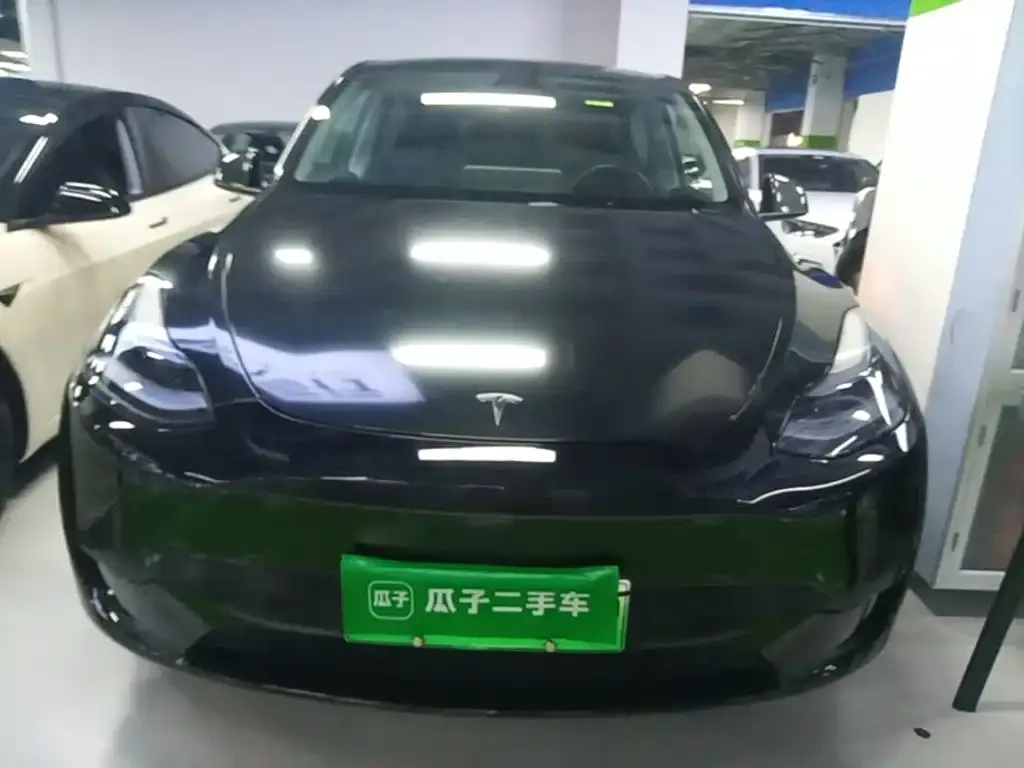 Tesla Model Y — фото 2