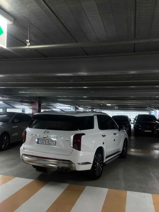 Hyundai Palisade — фото 7