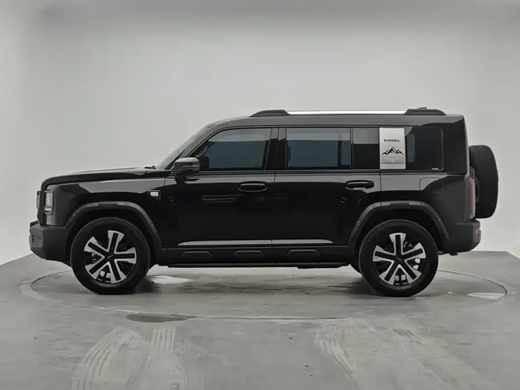 Haval 长城猛龙 PLUS — фото 7