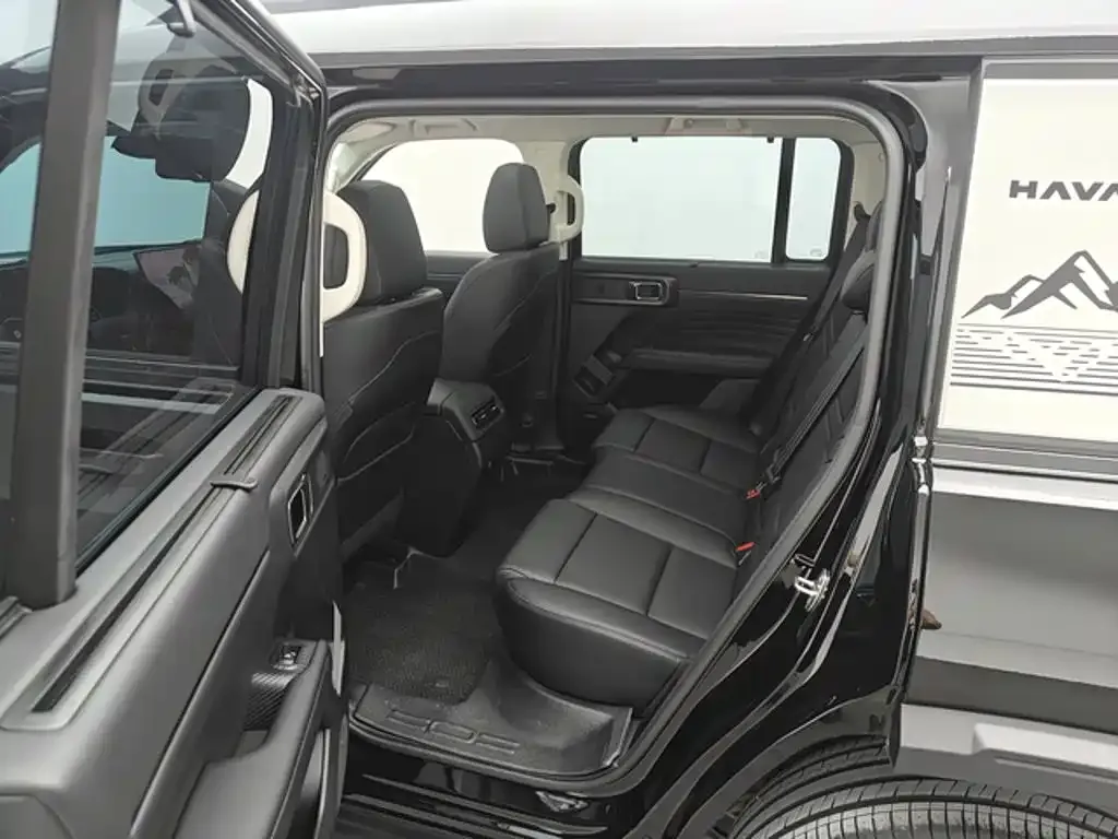 Haval 长城猛龙 PLUS — фото 3
