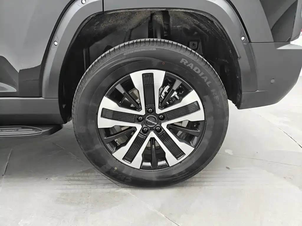 Haval 长城猛龙 PLUS — фото 10