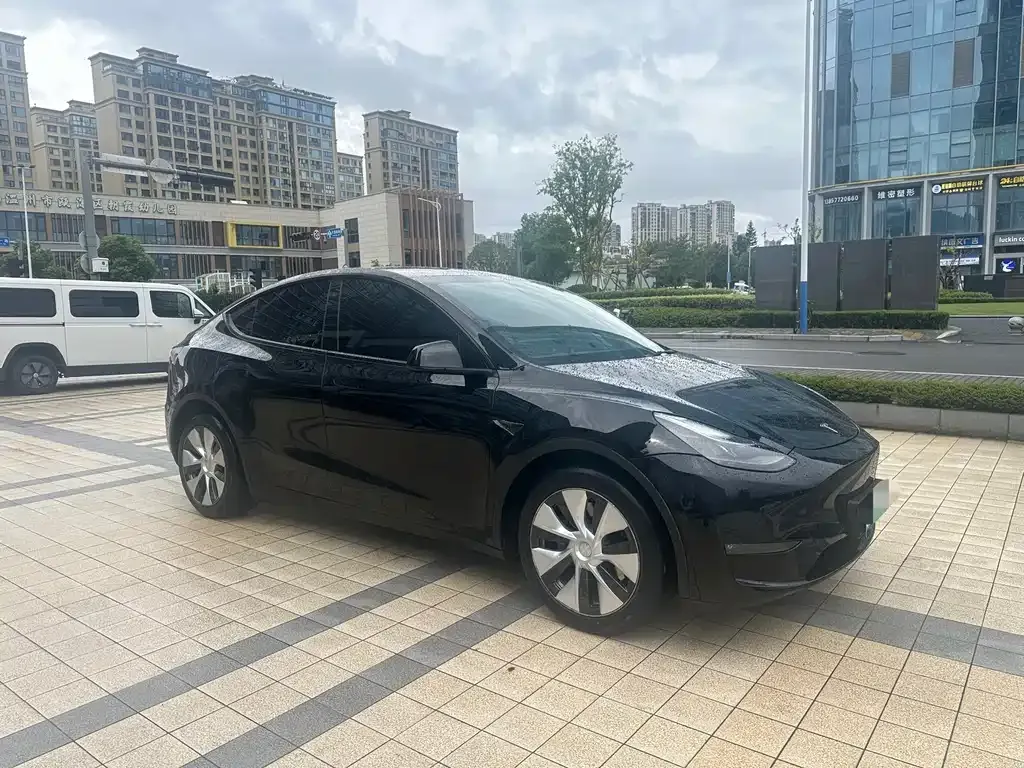 Tesla Model Y — фото 9