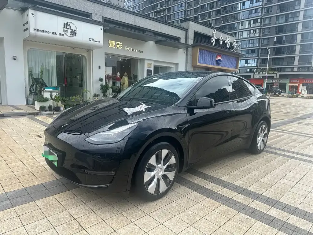 Tesla Model Y — фото 10