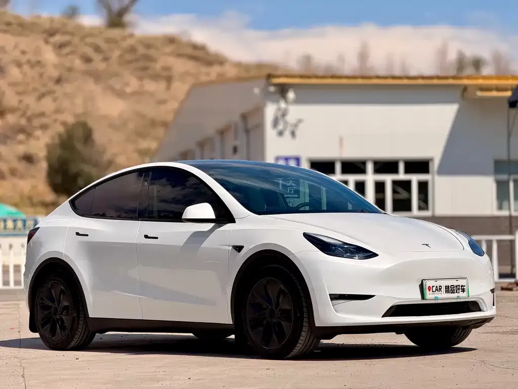 Tesla Model Y — фото 5