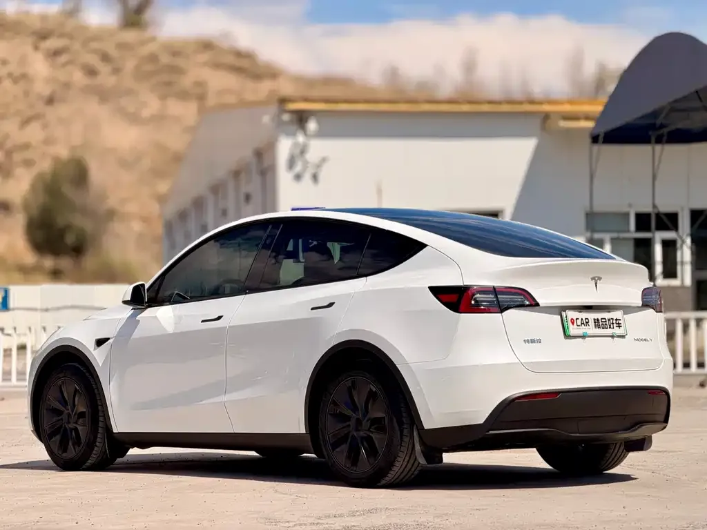 Tesla Model Y — фото 7