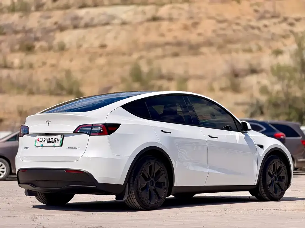 Tesla Model Y — фото 9
