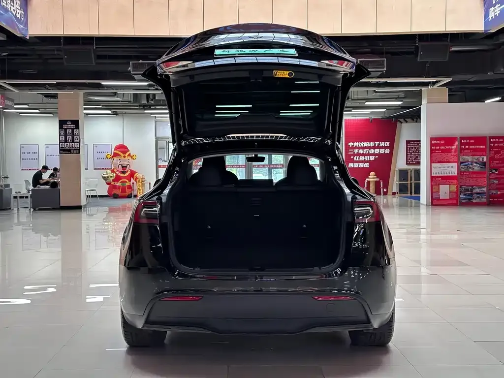 Tesla Model Y — фото 6