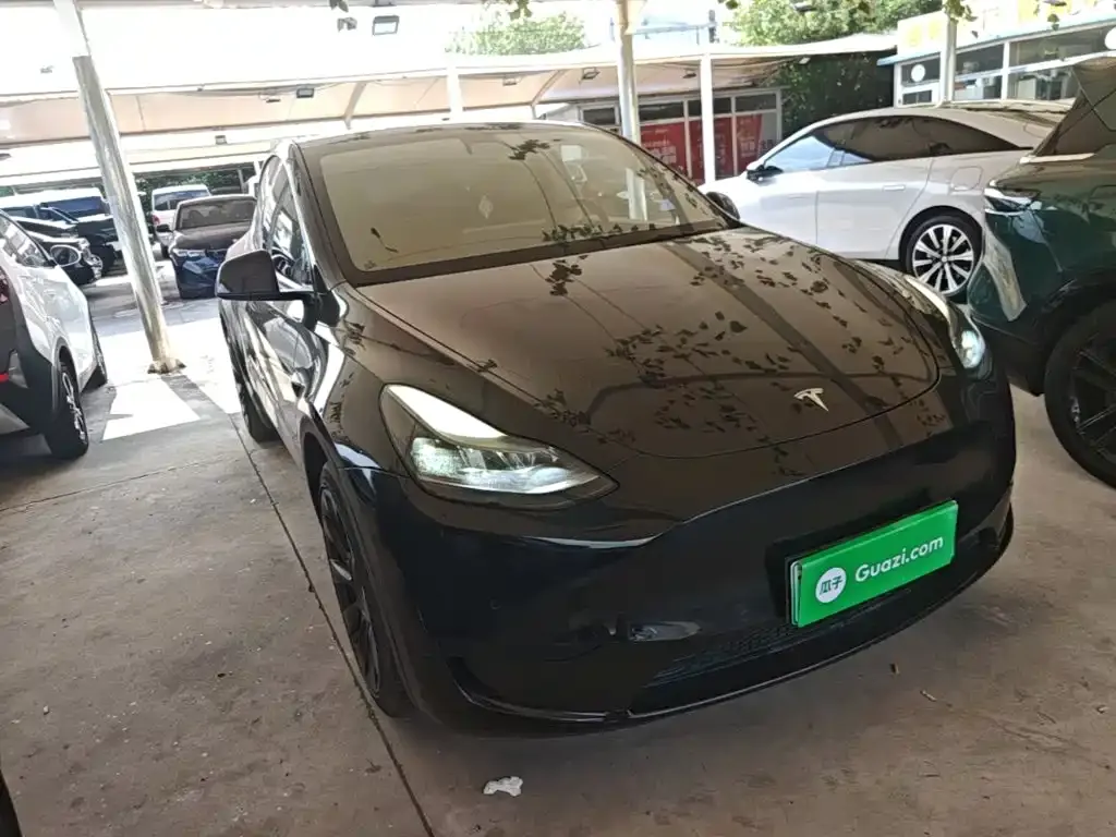Tesla Model Y — фото 2