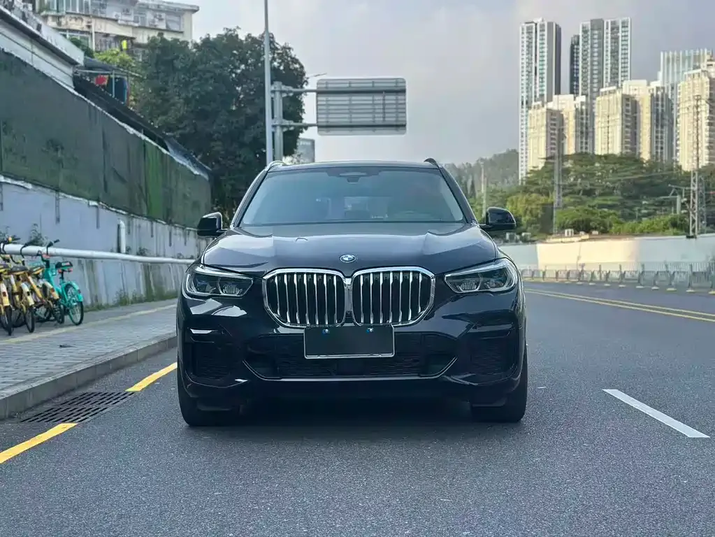 BMW X5 — фото 5