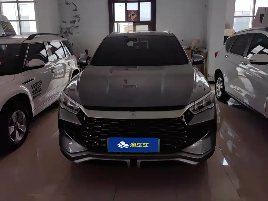 BYD Pro New Energy — фото 2