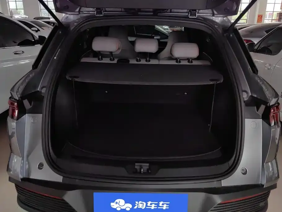 BYD Pro New Energy — фото 6
