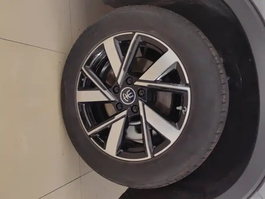 BYD Pro New Energy — фото 8