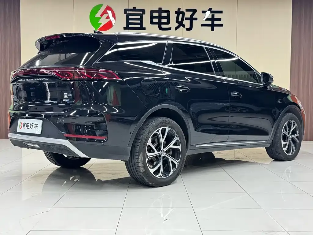 BYD Tang New Energy — фото 7