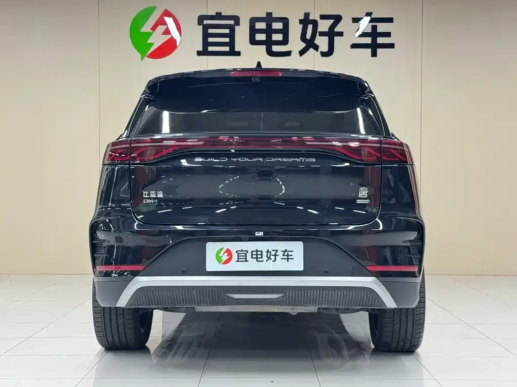 BYD Tang New Energy — фото 4