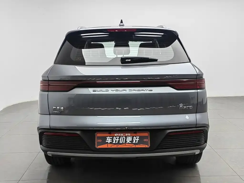BYD Pro New Energy — фото 9