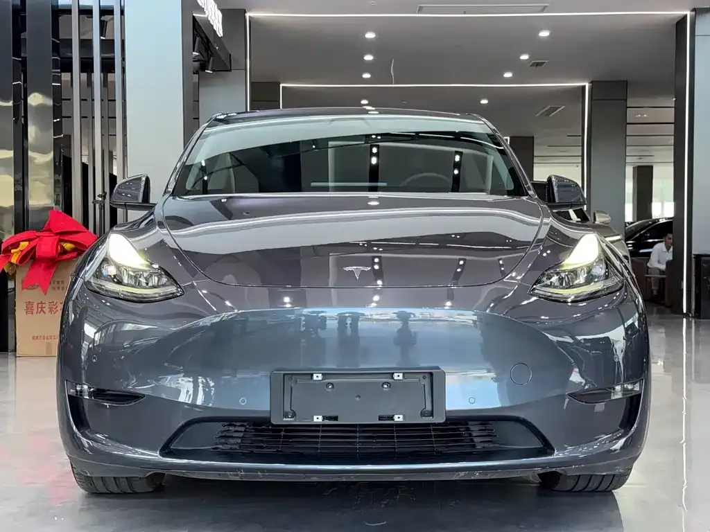 Tesla Model Y — фото 9