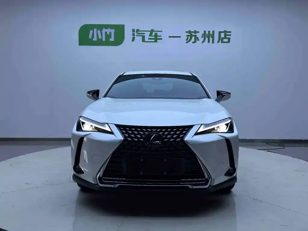 Lexus UX New Energy — фото 7