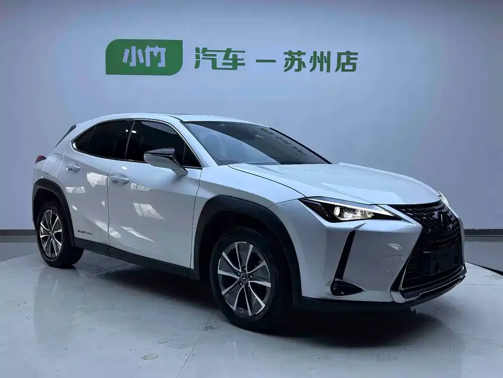 Lexus UX New Energy — фото 9