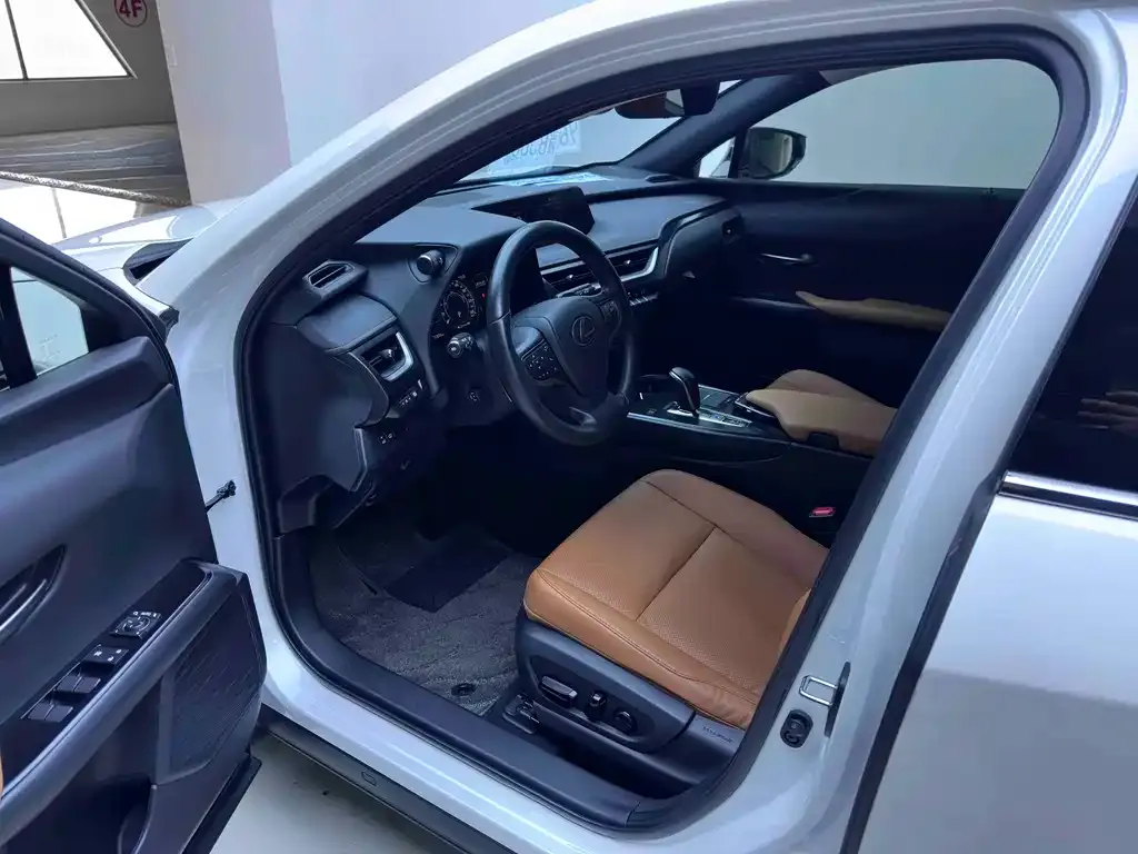Lexus UX New Energy — фото 5