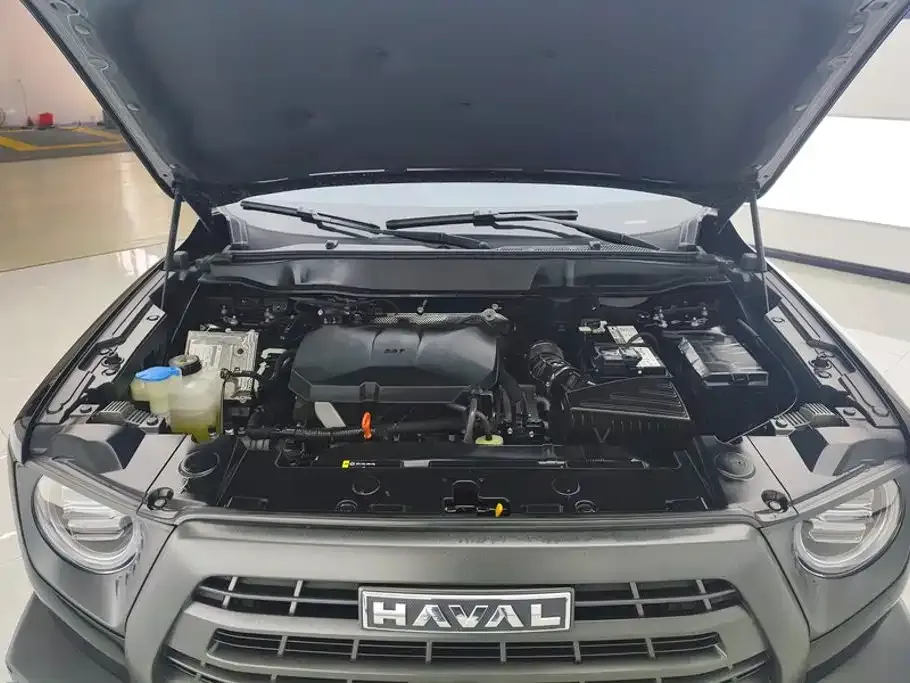 Haval Big Dog — фото 10