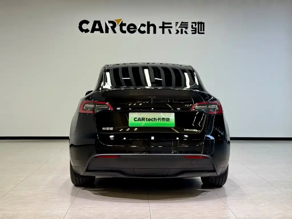 Tesla Model Y — фото 2