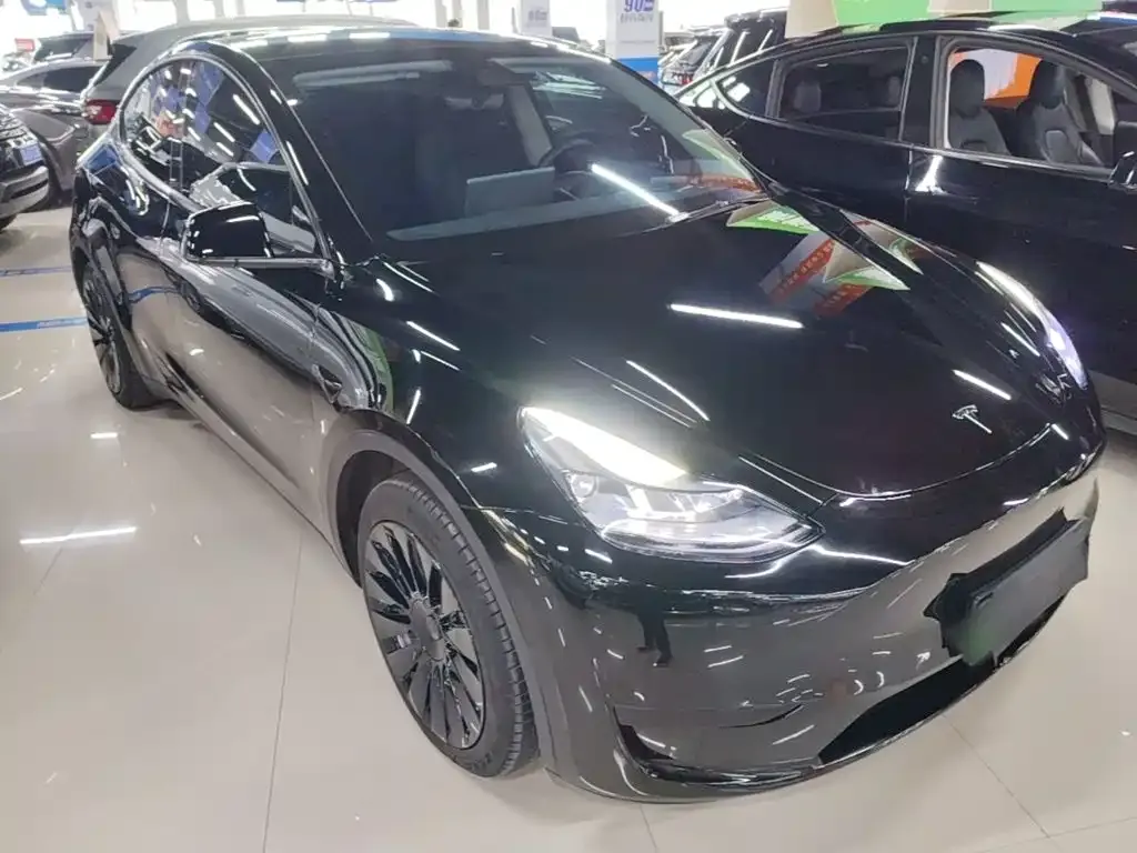 Tesla Model Y — фото 10