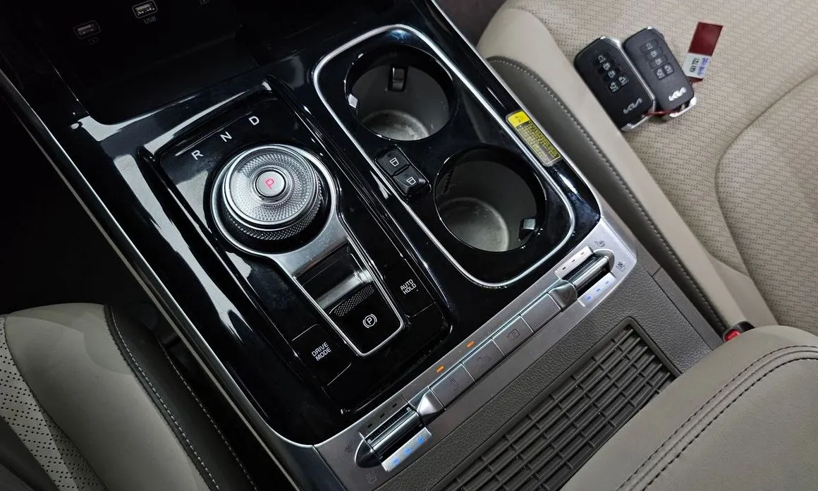 Kia Carnival — фото 10