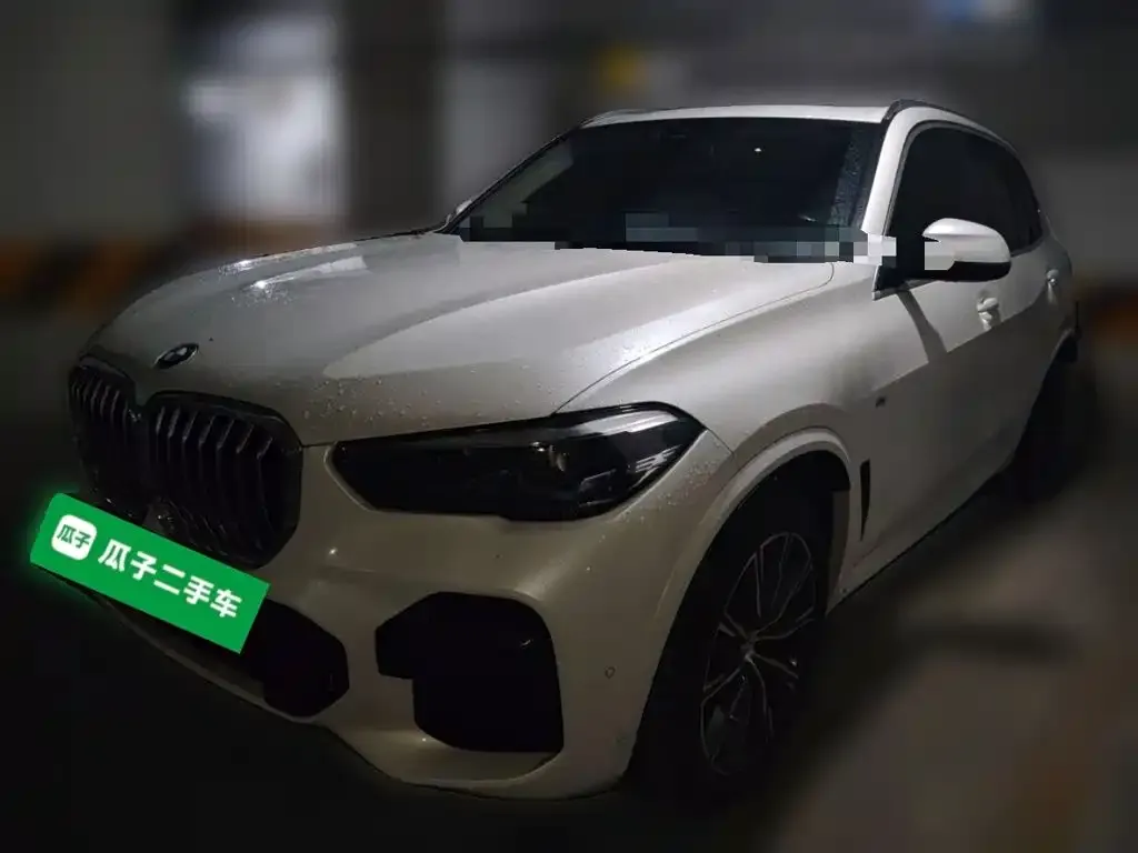 BMW X5 (Import) — фото 10