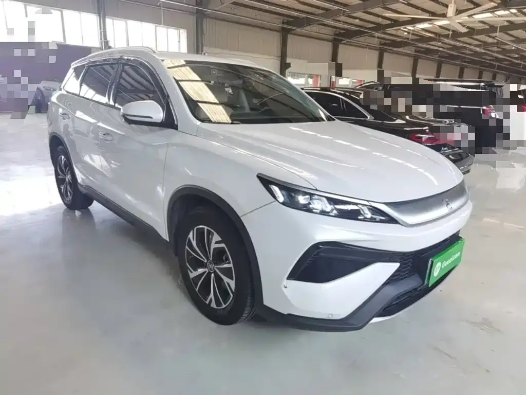 BYD Pro New Energy — фото 10