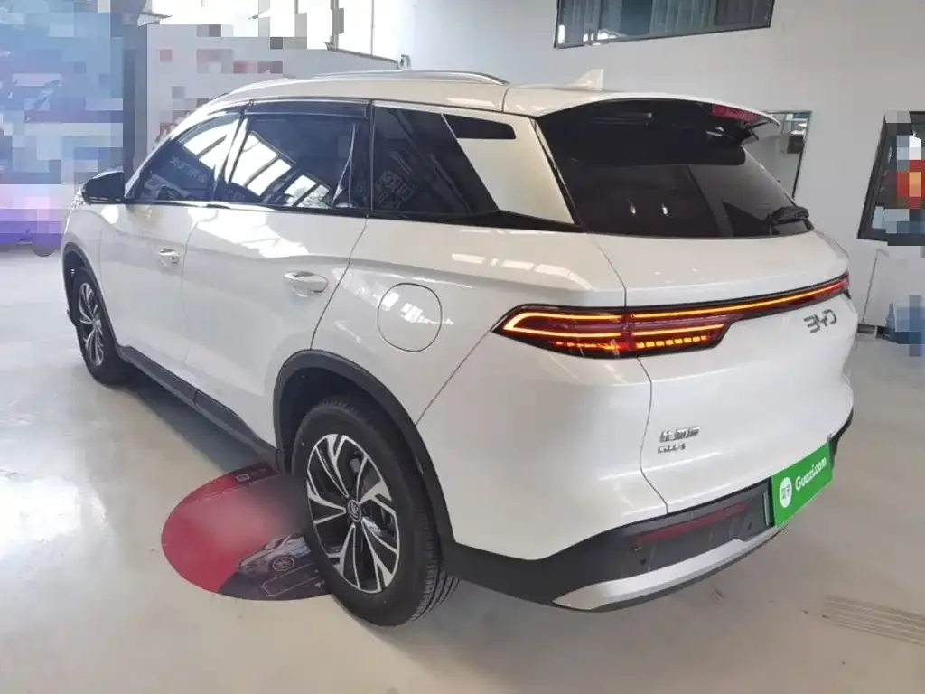 BYD Pro New Energy — фото 6