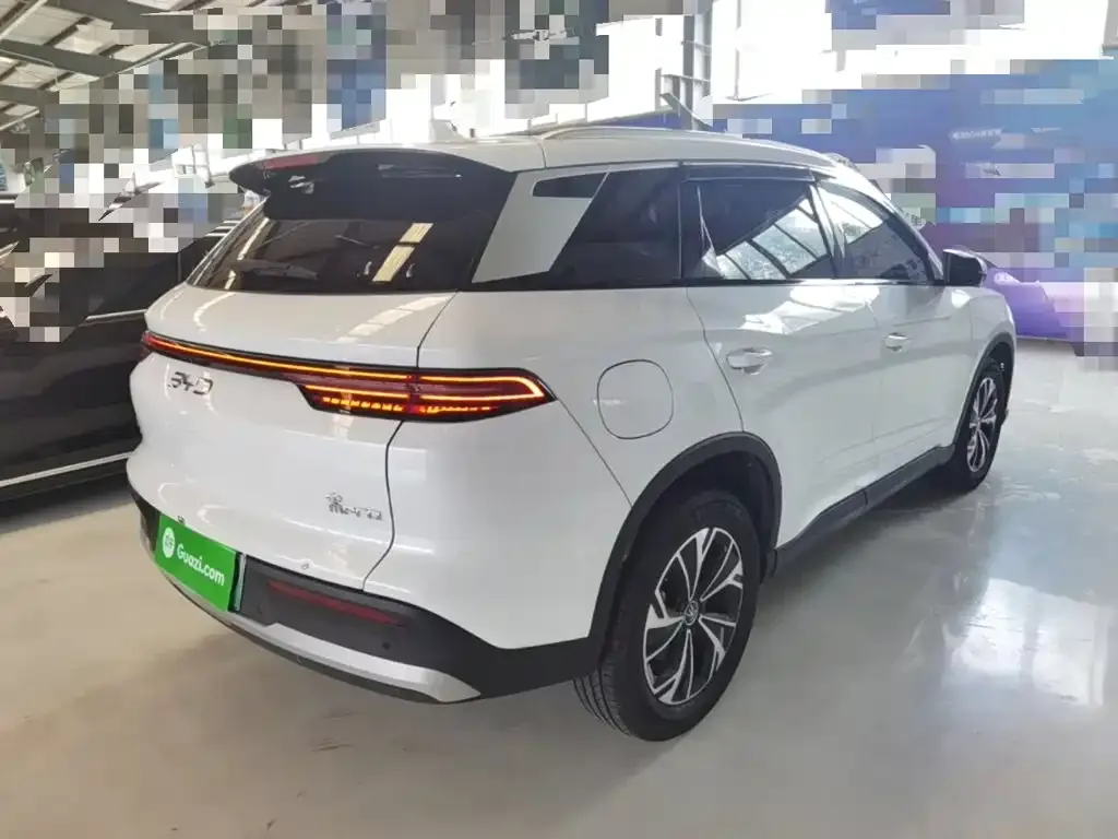 BYD Pro New Energy — фото 5
