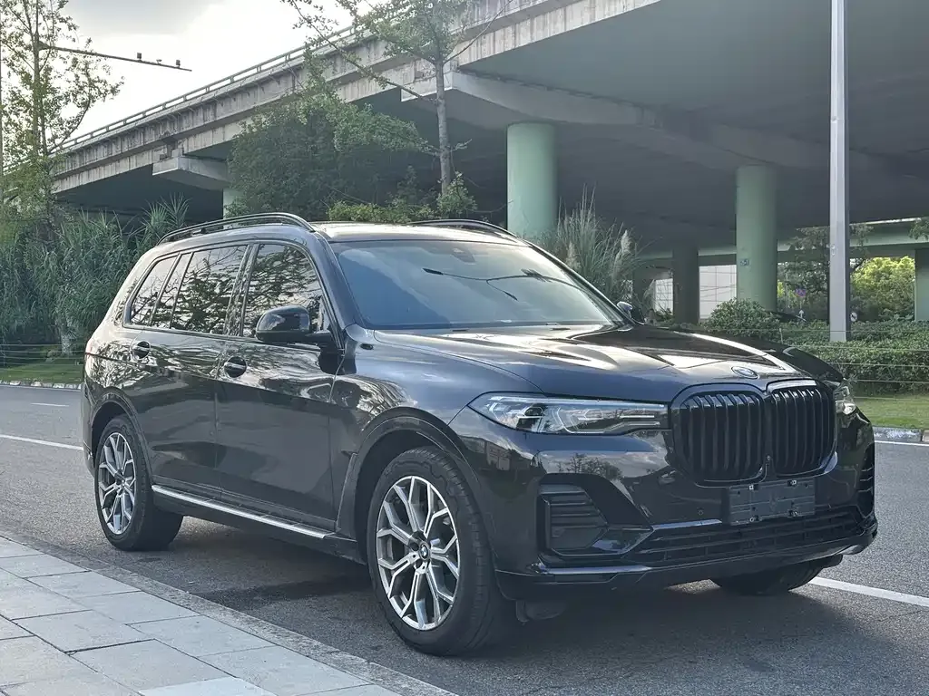 BMW X7 — фото 5