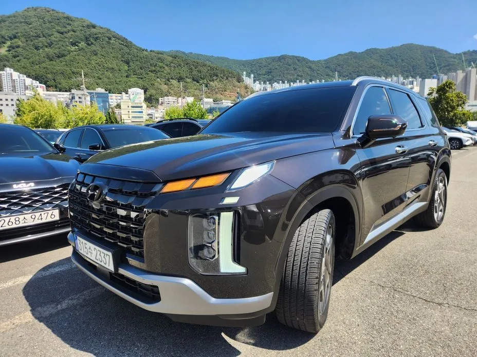 Hyundai Palisade — фото 10