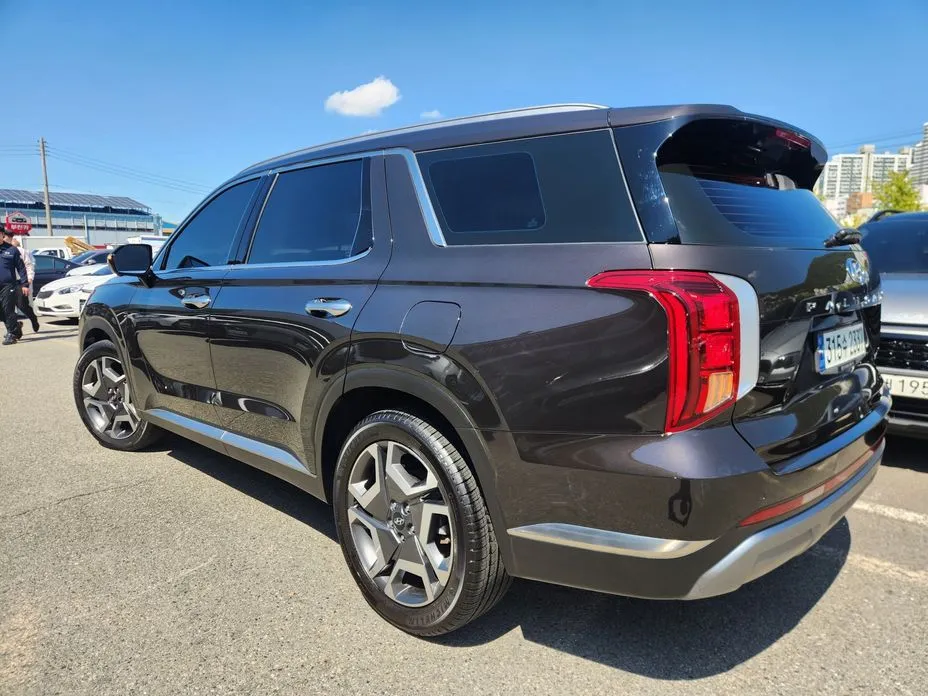 Hyundai Palisade — фото 7