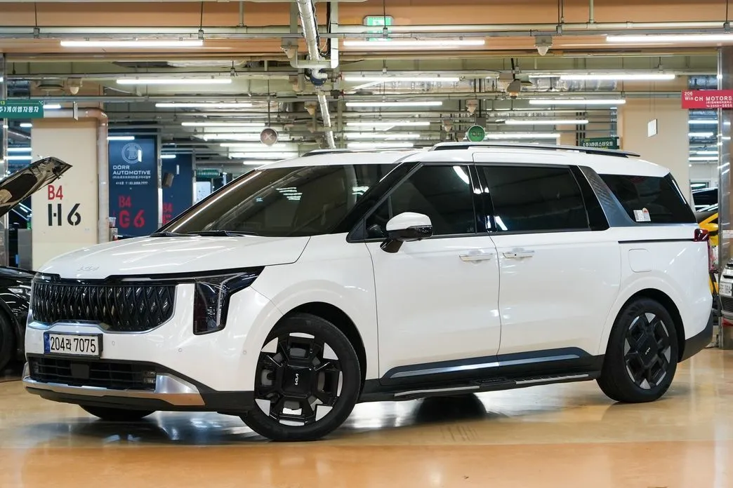 Kia Carnival — фото 10