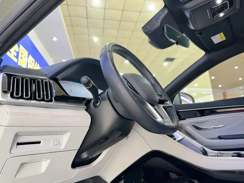 BYD PLUS New Energy — фото 7