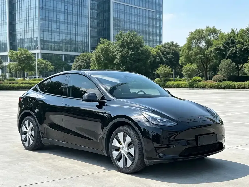 Tesla Model Y — фото 4