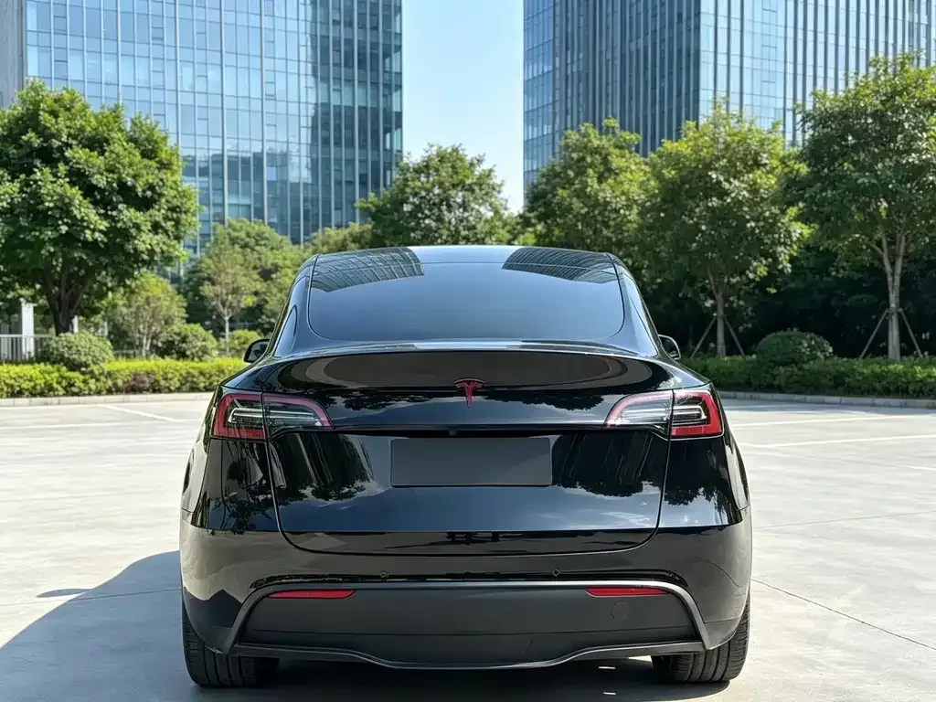 Tesla Model Y — фото 6