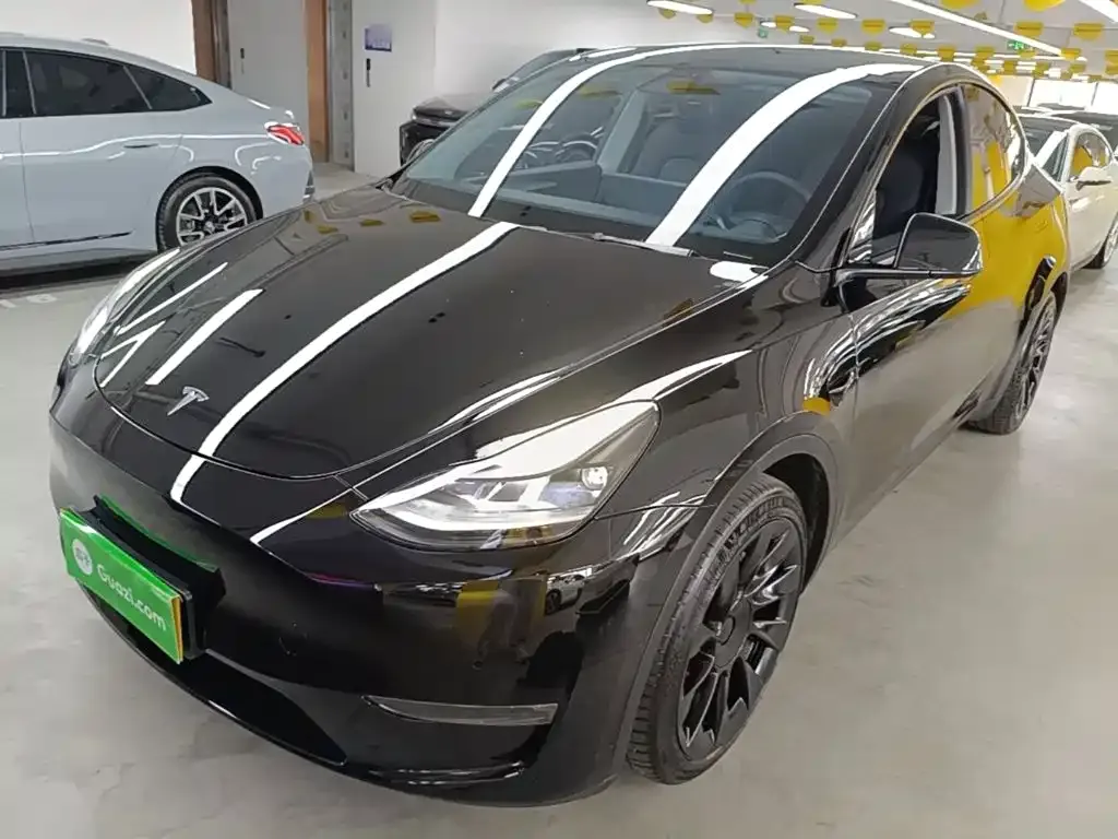 Tesla Model Y — фото 10