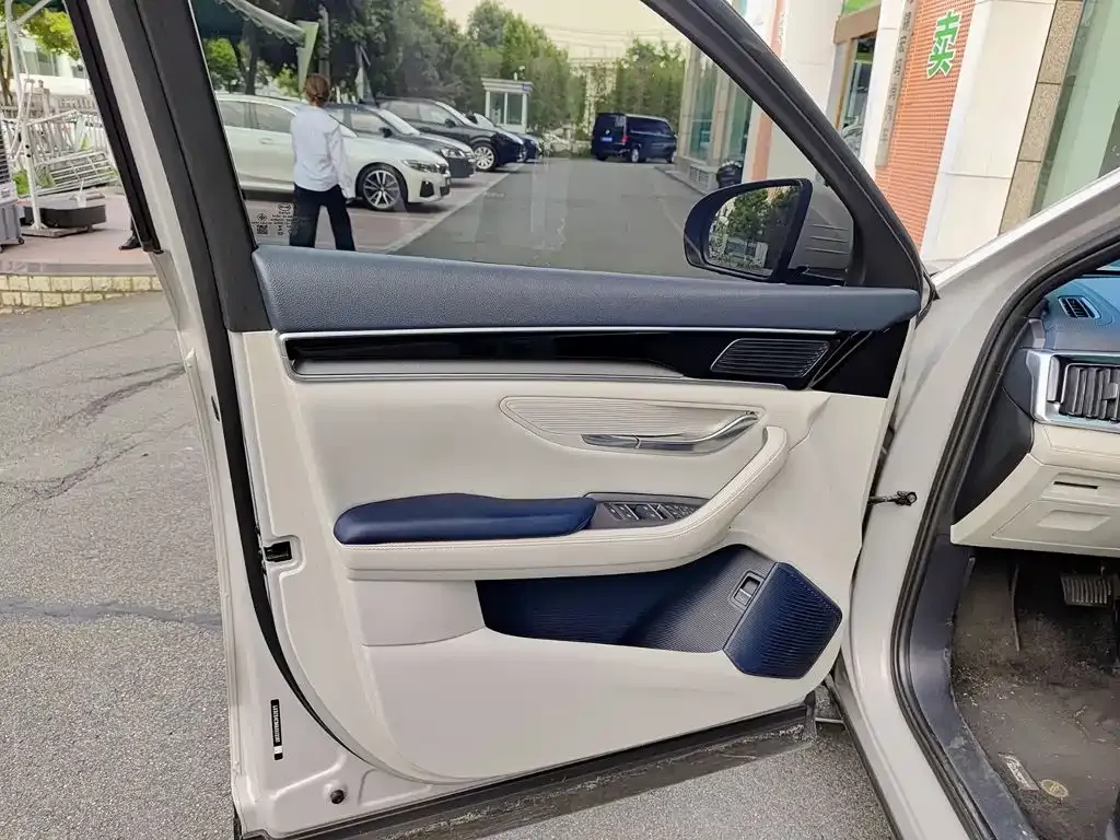 BYD PLUS New Energy — фото 3
