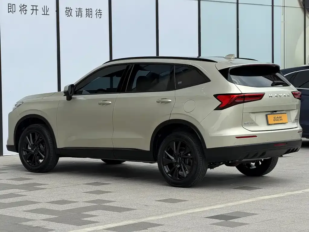 Haval H6 — фото 8