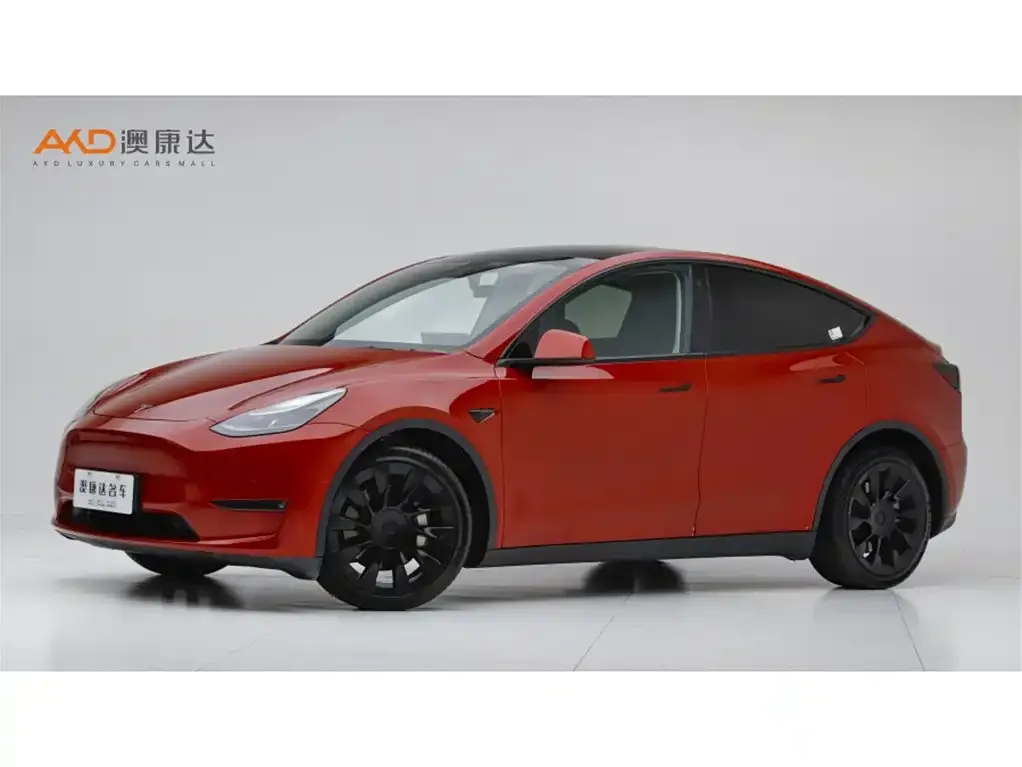 Tesla Model Y — фото 1